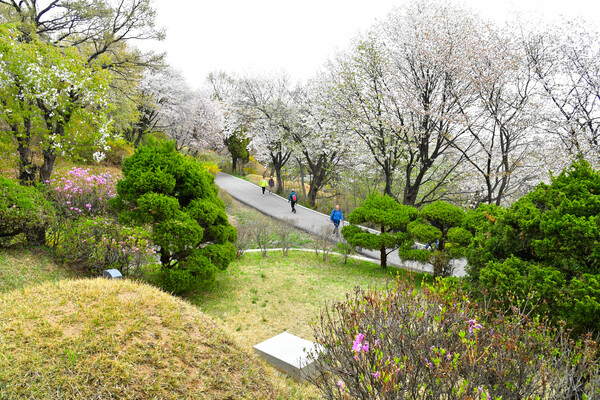 망우리공원 전경. 사진의 묘지는 아사카와 다쿠미와 관련 없음. (사진=망우리공원 홈페이지)