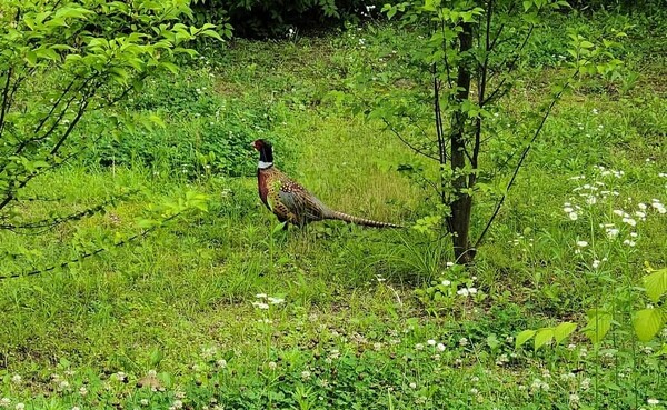 (사진=황현탁 칼럼니스트)