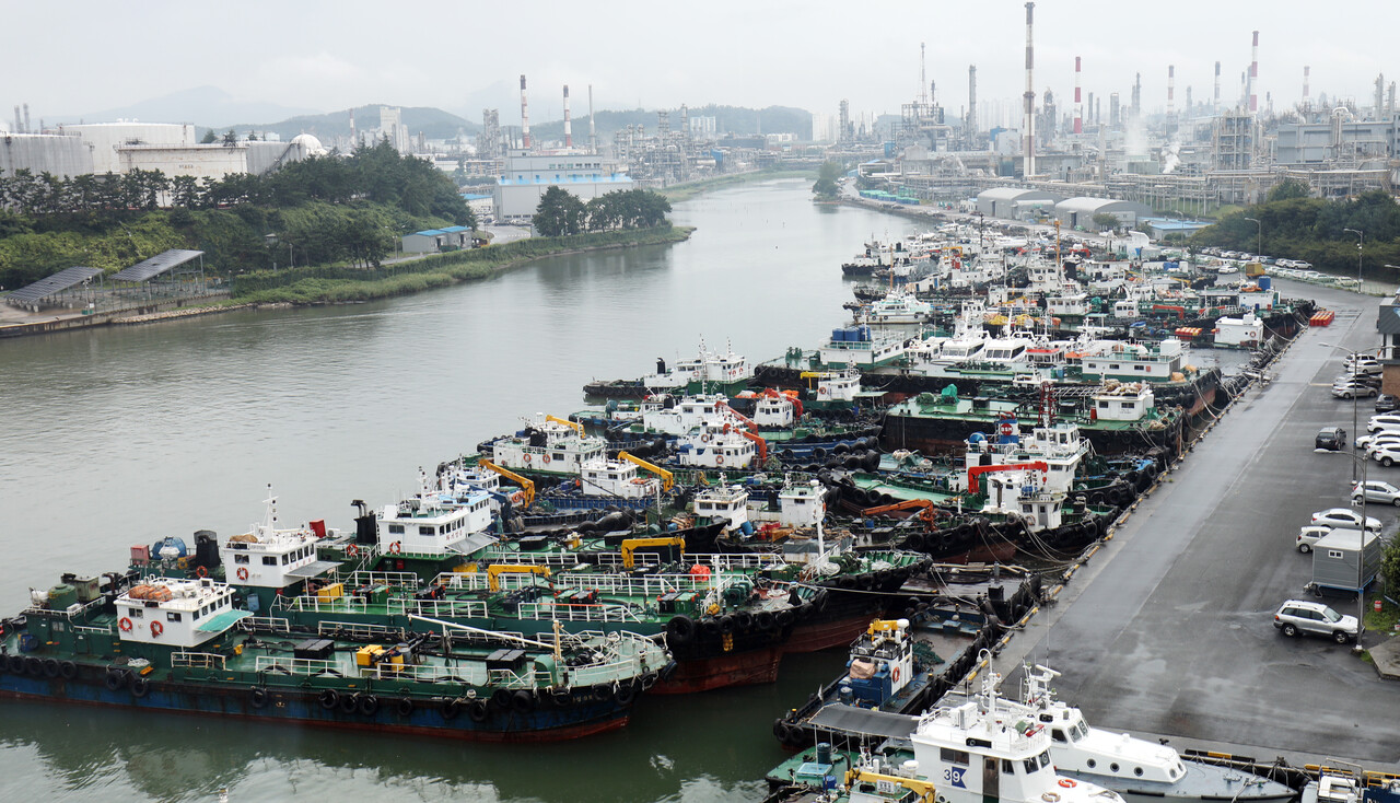 23일 제12호 태풍 오마이스 북상 소식에 울산시 남구 장생포항에 피항한 선박들. (사진=뉴스1)