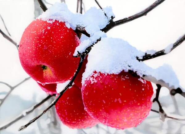 Natural-topia 53*72.7 Oil on Canvas 2021