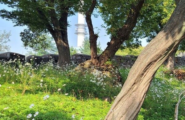 한양도성 성곽. (사진=황현탁)