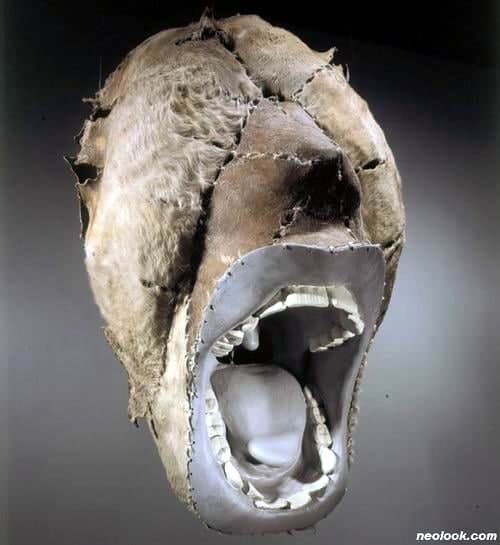 박제된 시선-외치다 합성수지.쇠가죽 105*98*70. 2002 / (사진 제공=송필)    