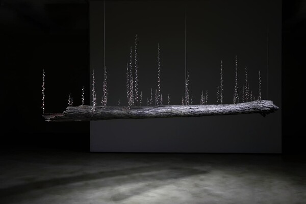 레푸지아-움트다. 브론즈와 스테인레스에 야광안료 30*290*79 2021