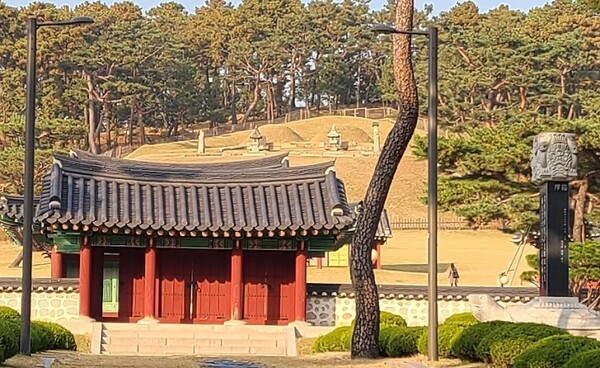 서울 수서역 인근 광평대군 묘역. (사진-황현탁) 