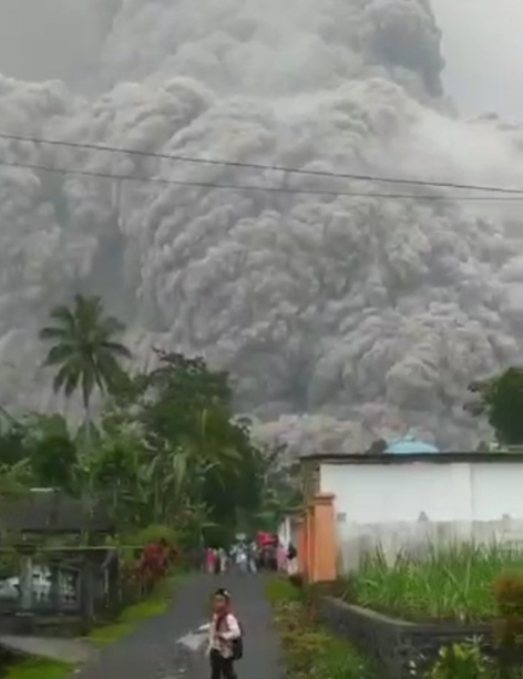 (사진=트위터 영상 캡처)