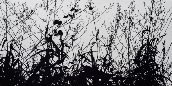 우듬지의 고용한 울림 16. 90×180 2021 / 사진 =김식 제공 