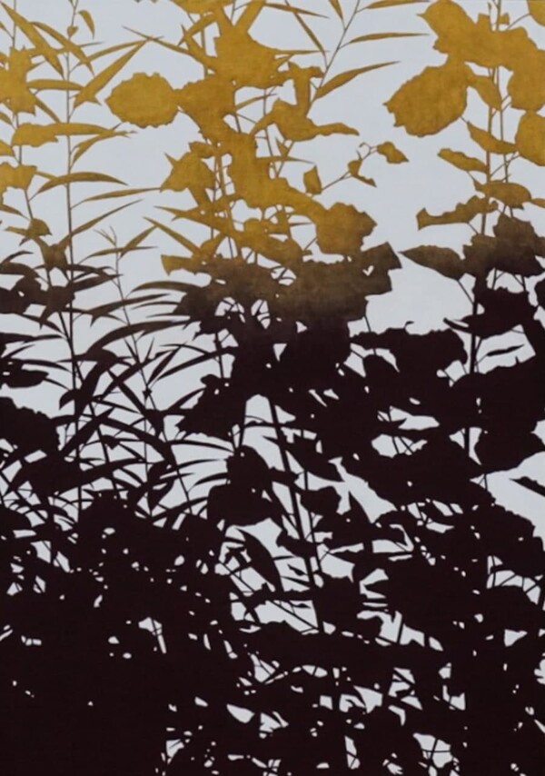 우듬지의 고요한 울림14. 84×60 2018 / 사진 = 김식 제공 