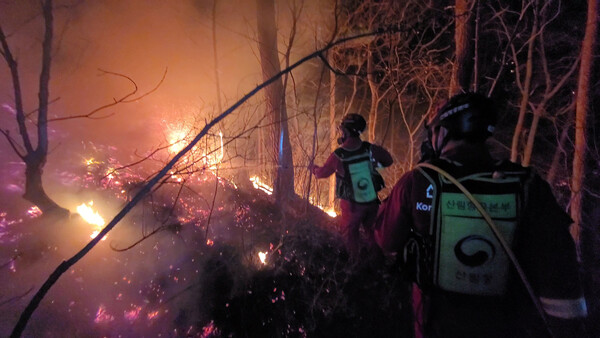 경북 울진에서 발생한 산불이 이틀째인 5일 밤에도 주불이 진화되지 않아 야간 대응 체제로 전환됐다. 사진은 4일 강원도 산불 화재 지역에서 산림청 산림항공본부 대원이 지상 진화 작업에 나서는 모습. (사진=뉴스1)