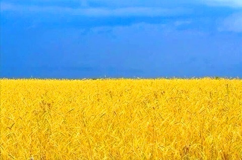 비옥한 우크라이나의 평원 (출처, 한경DB)