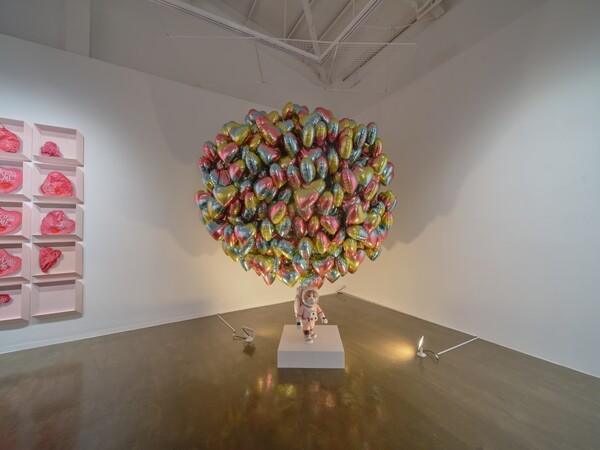 넌, 나를 가질수 없어(You don't own me 2022) 가변크기 / 사진제공 -스튜디오끼 