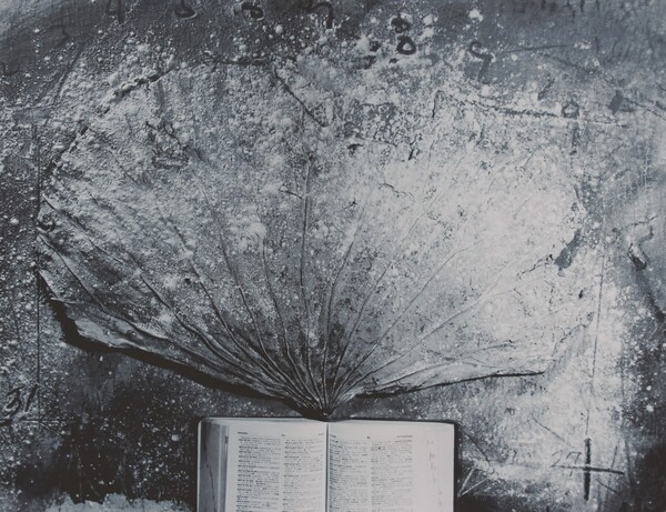 무제 16×21 inch print on ilford paper 2003 / 사진 제공 = 임동훈 작가