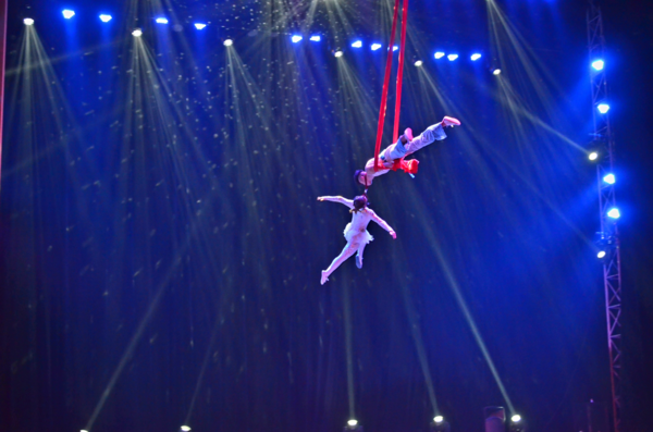 동춘서커스의 아크로바틱한 공중 곡예 쇼 (출처, 홈페이지)