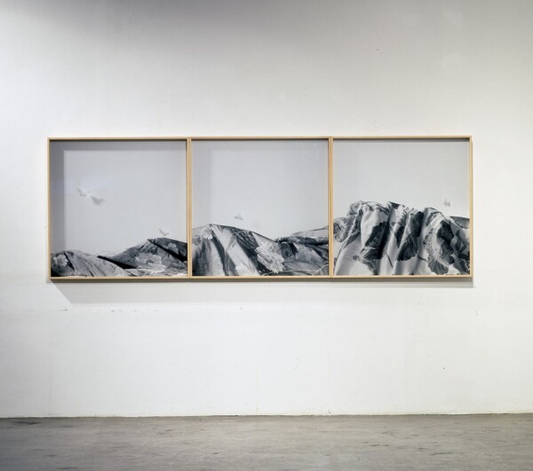 머물다 각 90×90 cm 디지털 프린트 유리에 에칭 2008 / 사진 제공 = 임선이 작가