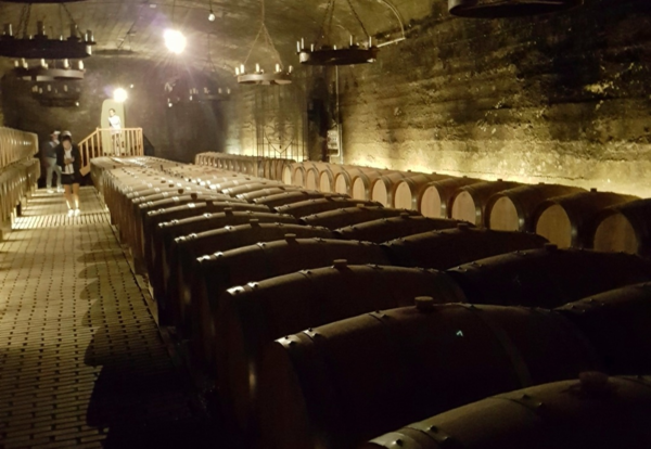 오크통을 사용하고 있는 전통적인 와인 까브, 샤또 드 라 가르딘