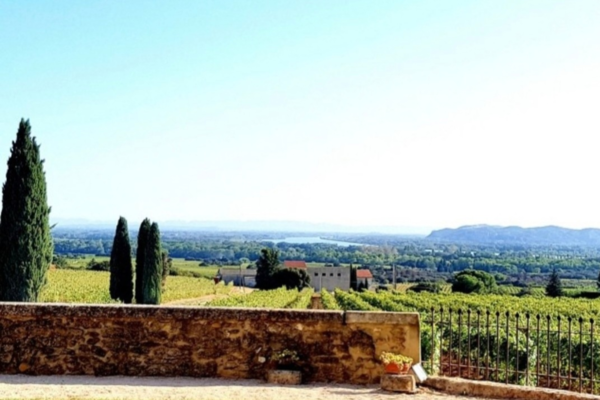 멀리 론강이 보이는 샤또 네프 드 빠프에 소재한 와이너리