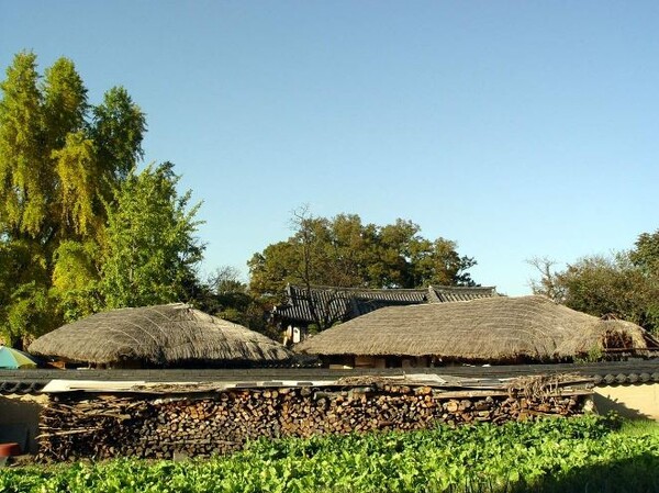 경북 안동 하회마을의 초가.