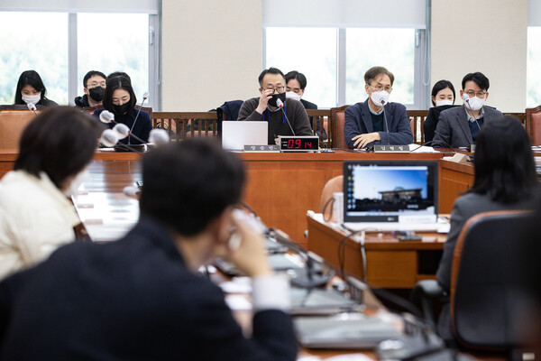 국회 정치개혁특위 정치관계법개선소위원회에서 지난 19일 열린 선거제도 관련 전문가 공청회. 앞줄 왼쪽부터 발제자로 참석한 문은영 중앙선관위 선거연구원 전임교수, 장승진 국민대 정치외교학과 교수, 김형철 성공회대 민주주의연구소 교수, 문우진 아주대 정치외교학과 교수. (사진=뉴스1)