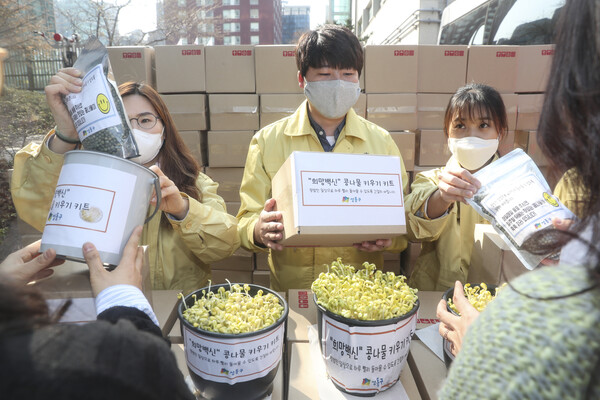 서울 성동구가 코로나19 시기인 2020년 3월 24일 독거노인 786명에게 ‘집에서 기를 수 있는 콩나물 키트’를 전달하기 위해 각 동 주민센터 직원들에게 콩나물 키우기 키트를 배부하고 있다. (사진=뉴스1 / 성동구청)