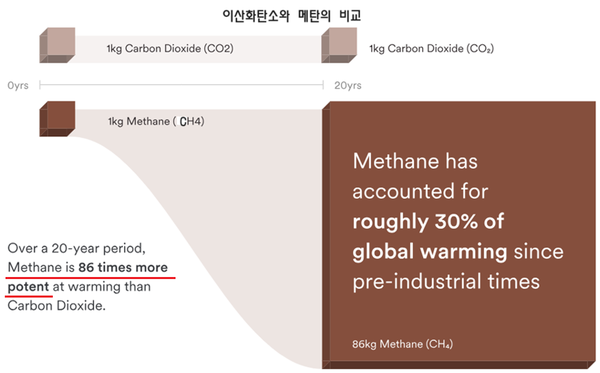 메탄은 지구온난화 영향에서 이산화탄소의 86배.  (출처 : https://www.climateworks.org/ginas-methane/)