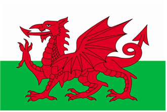 붉은 용이 들어있는 웨일스의 레드 드래건기.