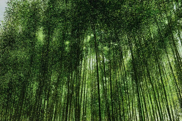 청음 145.5ⅹ89.4cm acrylic on canvas 2020.