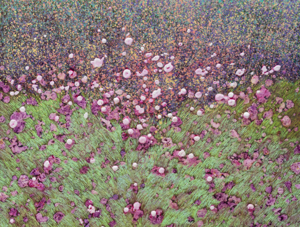 떠오르다 90.0ⅹ90.0cm acrylic on canvas 2024