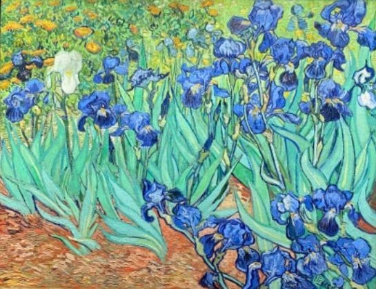 고흐의 '아이리스' 