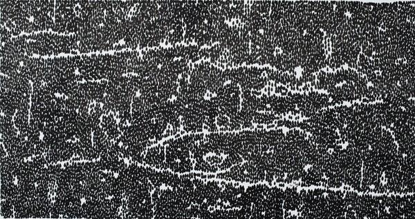 Another Nature 30 79ⅹ150cm 종이에 먹 2021