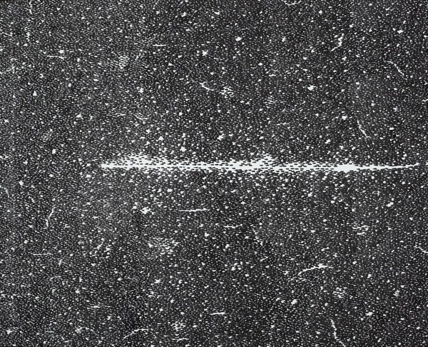 In the garden 35 130.3ⅹ162.2cm 캔버스에 먹 2021