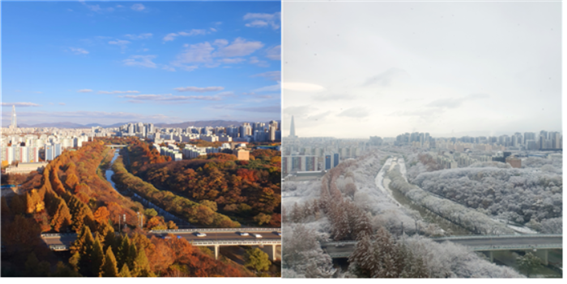   하룻밤만에 가을에서 겨울로 이동한 11월 마지막 주의 양재천 정경.