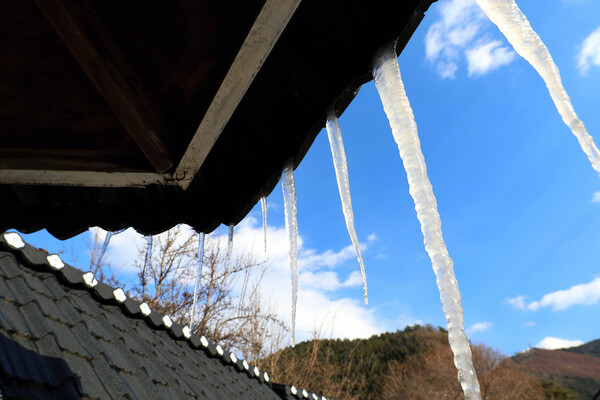 강원 동해안 일부를 제외한 대부분 지역에 한파경보가 내려진 8일 강원 인제군 기린면 진동리 한 주택 처마에 고드름이 주렁주렁 달려 있다. (사진=연합뉴스/인제군 제공)