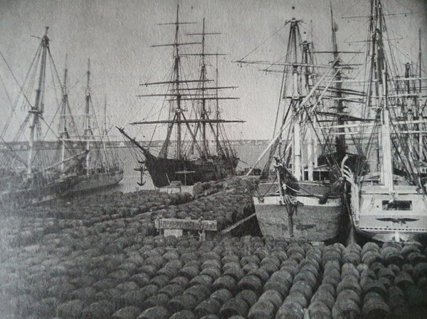 19세기 매사추세츠주 뉴베드포드항의 고래 기름통들 (출처, 작가정신 출간 '모비 딕')