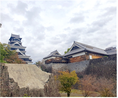 2016년 지진으로 성의 일부가 무너진 구마모토성 (2024. 11)