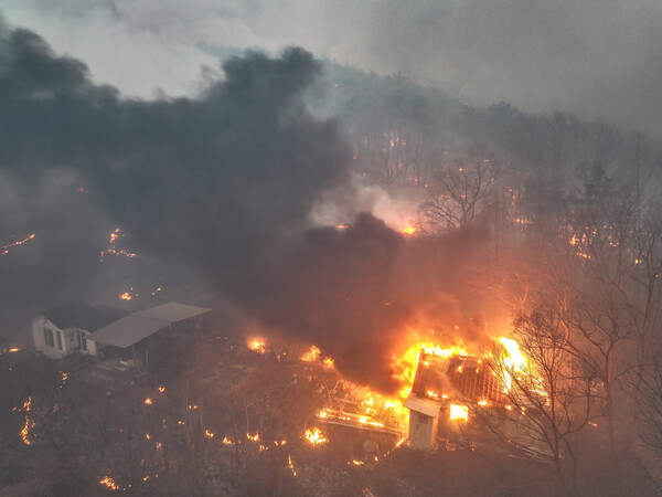 경북 의성군 대형 산불 발생 사흘째인 24일 의성군 옥산면 전흥리에서 강풍을 타고 번진 산불이 민가를 덮치고 있다. (사진=연합뉴스)