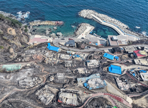  26일 경북 영덕군 영덕읍 석리 마을 전체가 불에 타 폐허로 변해 있다. (사진=연합뉴스) 