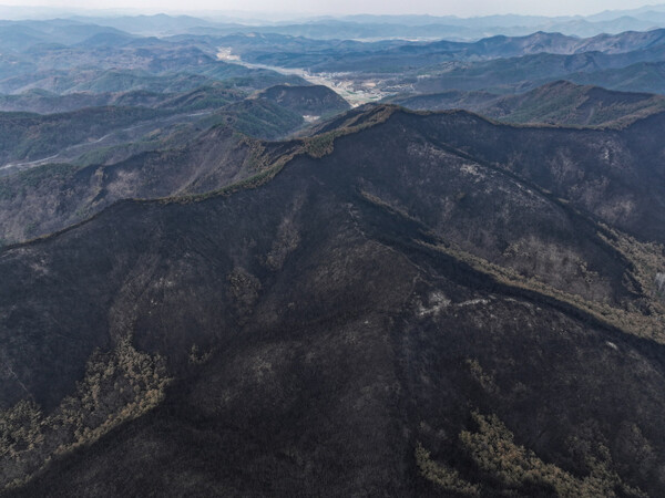  지난 28일 경북 의성군 산림이 산불에 새까맣게 타 초토화된 모습. (사진=연합뉴스)