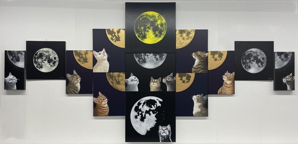 무제(꼴라주) Acrylic on canvas 2024