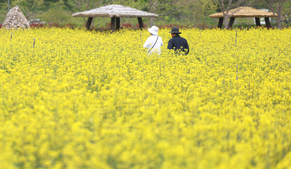 (사진=연합뉴스)