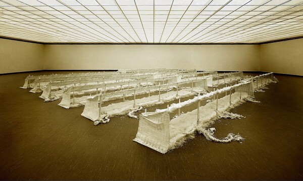 Ginseng Field, 12m x 16m, 높이 80~85 cm 2001년.