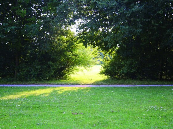 그 길을 따라 1, 사진 및 영상작업 첫 화면 2007년.