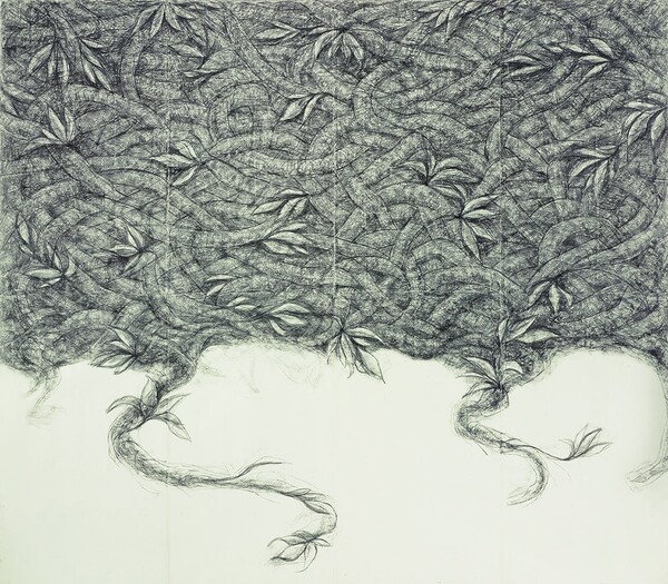 인삼밭 드로잉, 한지에 먹,  210 x 250cm, 2008년