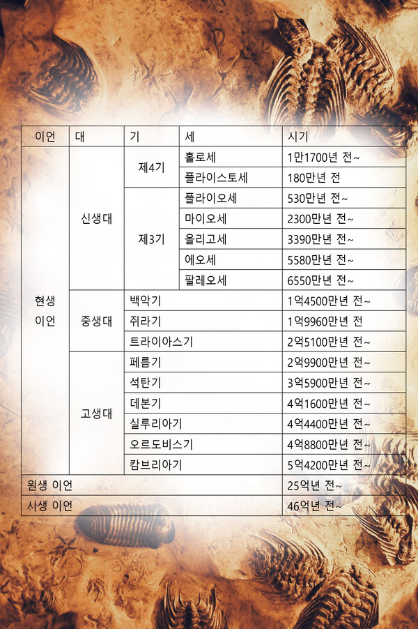  지질시대의 구분 