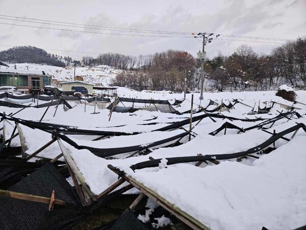 지난해 경기도 농가 폭설피해 현장. (사진=경기도 제공)