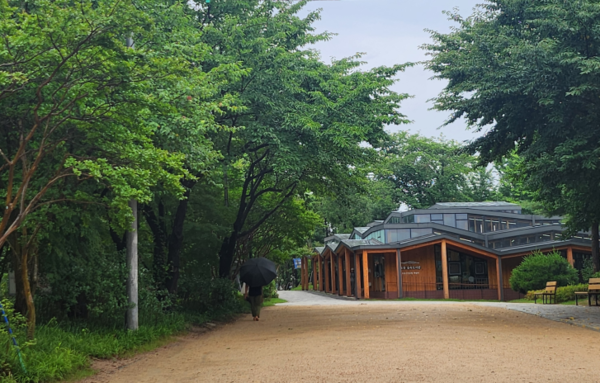 오동숲속도서관 전경. (사진=고규영)