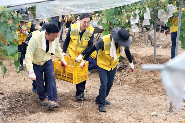 김동연 경기도지사가 지난달 31일 오전 가평군 호우 피해 지역을 방문해 수해복구 자원봉사를 하고 있다. (사진=경기도 제공)