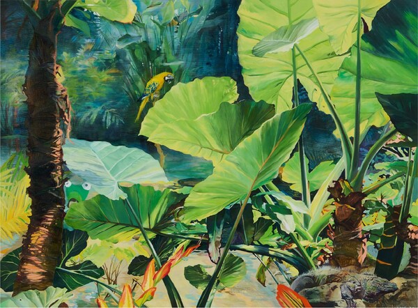 이름 없는 정원6, 80.3x130.3cm, 캔버스에 유화, 2025