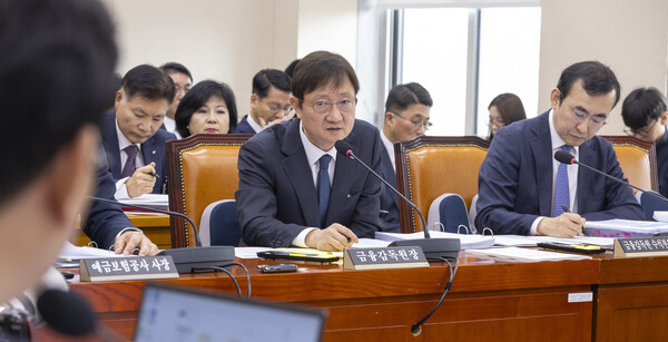 이찬진 금융감독원장이 10월 21일 국회에서 열린 2025년도 정무위원회 국정감사에 출석해 의원 질의에 답하고 있다. (사진=연합뉴스)