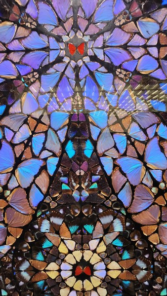 데미안허스트, 신의 무한한 권능과 영광을 위하여(Contemplating the Infinite Pwer and the Glory of God) 2008 작품 일부분을 확대한 것(수천마리의 실제 나비로 제작).